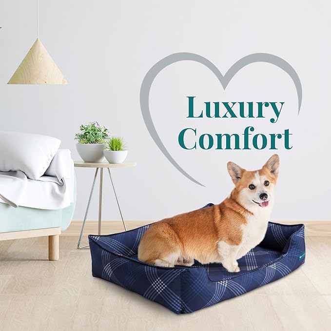 Orthopedic Bolster Dog Bed – CertiPUR-US Foam, Recycled Polyester Canvas, Washable Cover, Anti-Slip Bottom, Medium, Navy Plaid – Stylish Designer Dog Sofa-Mewly Pet