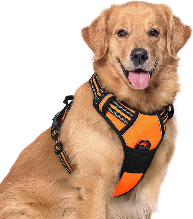 rabbitgoo Dog Harness No Pull with 2 Leash Clips, Adjustable Soft Padded, Reflective Oxford No Choke Pet Vest with Easy Control Handle for Large Dogs, Orange, XL-Mewly Pet