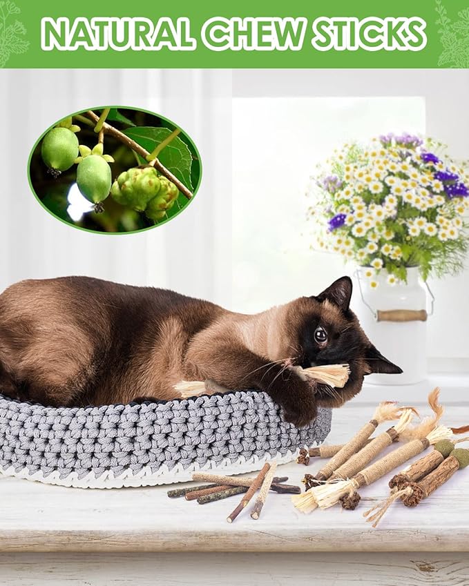 TINDTOP Catnip Chew Toys for Cats, 12 Pack Natural Silvervine Sticks for Kittens Teeth Cleaning, Matatabi Dental Care, Increase Appetite, Calm Cat Anxiety and Stress, Aggressive Chewers Cat Dental Toy-Mewly Pet