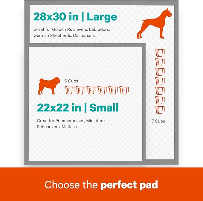 AS62930 Dog Training Pads, Pack of 100, Gray, 22" x 22" - Pack of 100-Mewly Pet