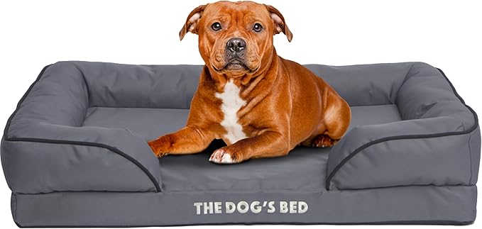 The Dog’s Bed, Orthopedic Standard Foam Waterproof Dog Bed with Standard Support, Large Grey with Black Trim, Waterproof, Supportive Dog Bed with Replaceable Covers, Veterinary Approved-Mewly Pet