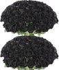 60 Pcs Artificial Roses Bulk Velvet Silk Black Roses Roses for Wedding Centerpieces Bridal Bouquet Mohter's Day Valentine's Day Halloween Home Decor(60, Black)