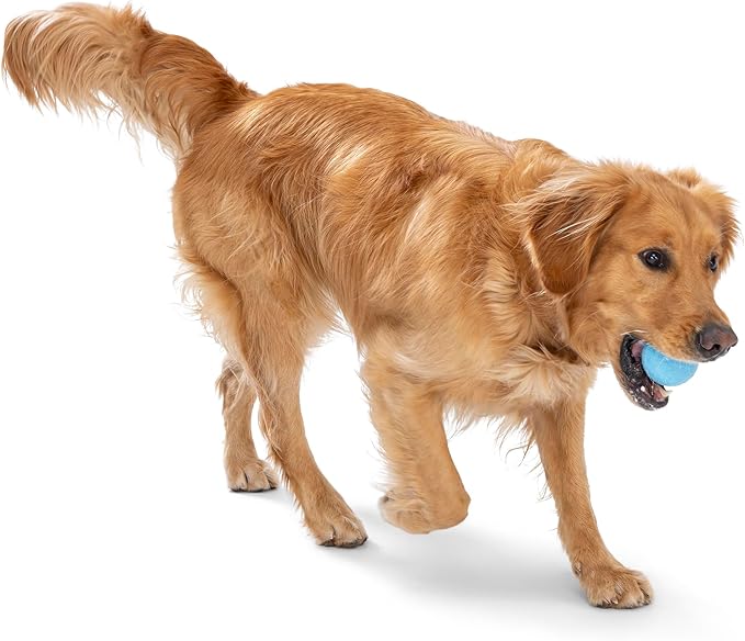 WEST PAW Boundr Ball Dog Fetch Toy – Bouncing Toys for Dogs, Fetch, Catch, Chewing, Play – Floatable, Recyclable Balls – Small Aqua Blue/Dandelion Yellow 2-Pack-Mewly Pet