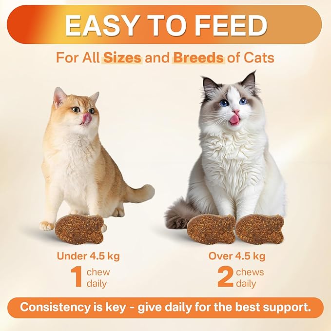 4-in-1 Flea Treatment for Cats Chewable, Natural Cat Flea and Tick Prevention Chewable Supplement for Skin & Coat | Immunity Support | Digestive | Flea & Tick Treatment for All Breeds & Sizes-Mewly Pet