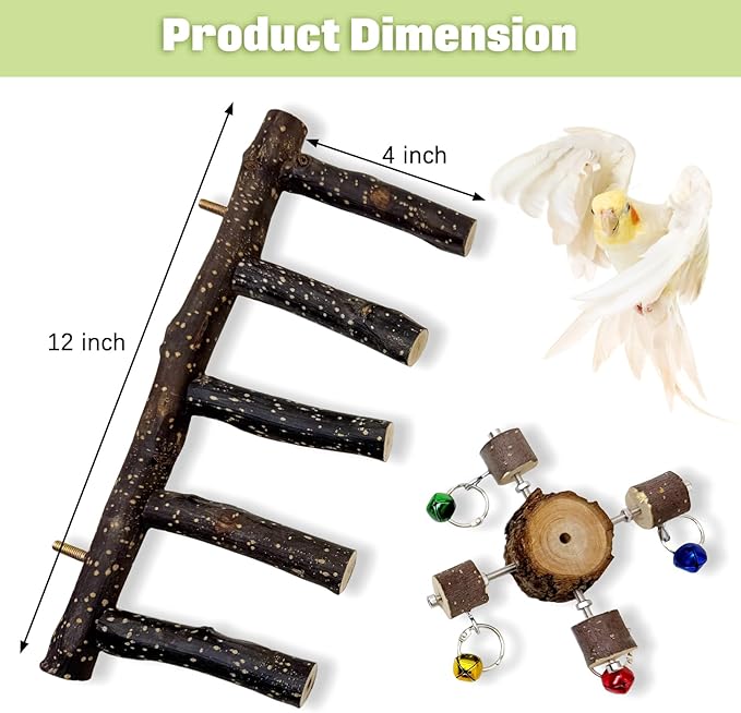 BNOSDM Natural Wood Bird Ladder Perch with Rotating Bell Toys-Exercise Stands for Parrot Climbing Chewing Parakeet Bridge Cage Accessories for Cockatiel, Conures, Lovebirds, Budgie-Mewly Pet