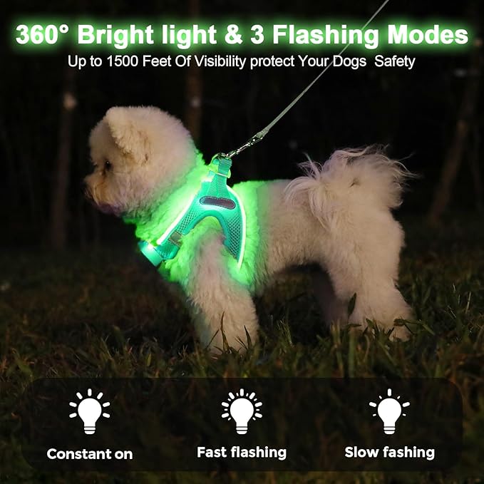 Light Up Dog Harness,Rechargeable LED Dog Harness for Small Medium Large Dogs,Reflective Lighted Safety Vest for Night Walking & Camping,Lightweight & Adjustable,Light Green,M-Mewly Pet