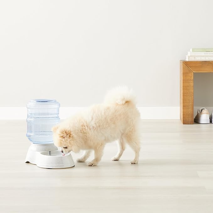 Amazon Basics Gravity Pet Water Dispenser for Cat, Dog, 1 gallon Capacity, Small, Gray-Mewly Pet
