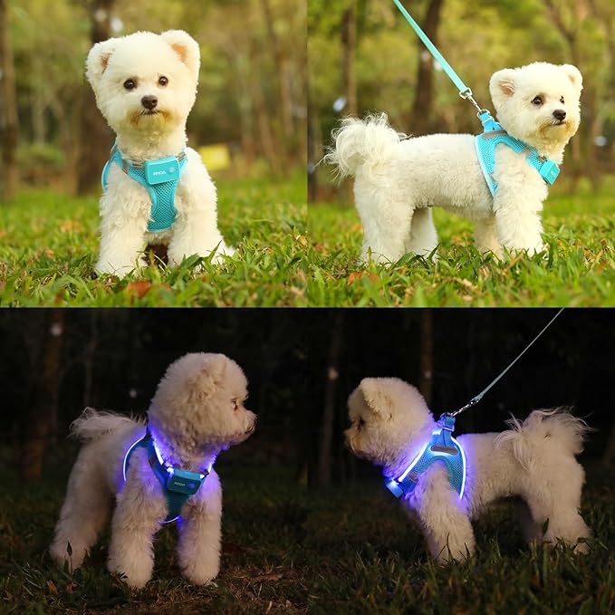 Light Up Dog Harness,Rechargeable LED Dog Harness for Small Medium Large Dogs,Reflective Lighted Safety Vest for Night Walking & Camping,Lightweight & Adjustable,Blue,S-Mewly Pet
