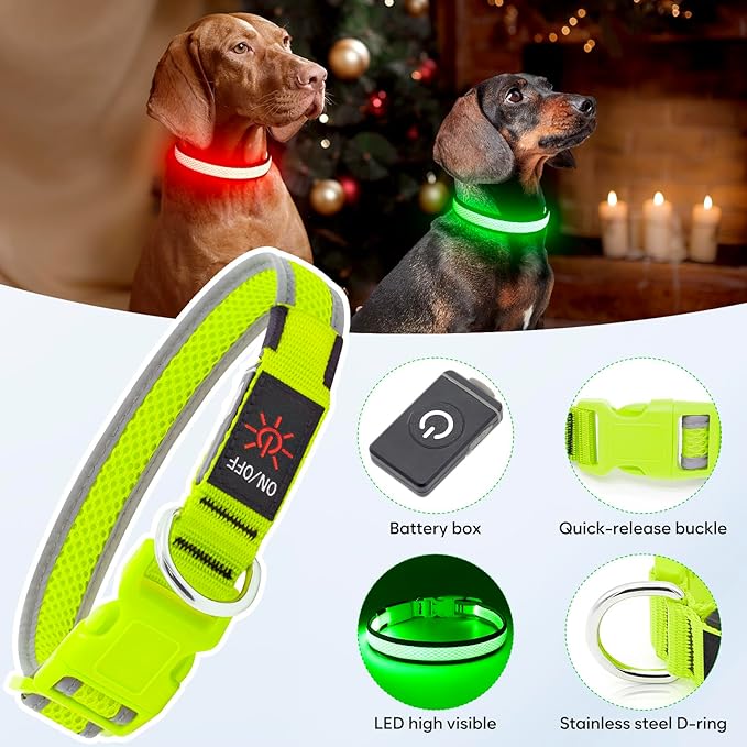 LED Dog Collar, Light Up Dog Collar USB Rechargeable, Brightest Dog Lights for Night Walking, Adjustable Dog Collar Light for Dog Safety(Medium, Neon Green)-Mewly Pet