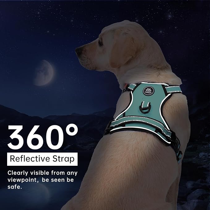 IVY&LANE No Pull Dog Harness with Leash Set, Reflective No Choke Pet Vest,Adjustable Oxford Dog Vest Harness with Easy Control Handle for Large Dogs (Turquoise,L)-Mewly Pet