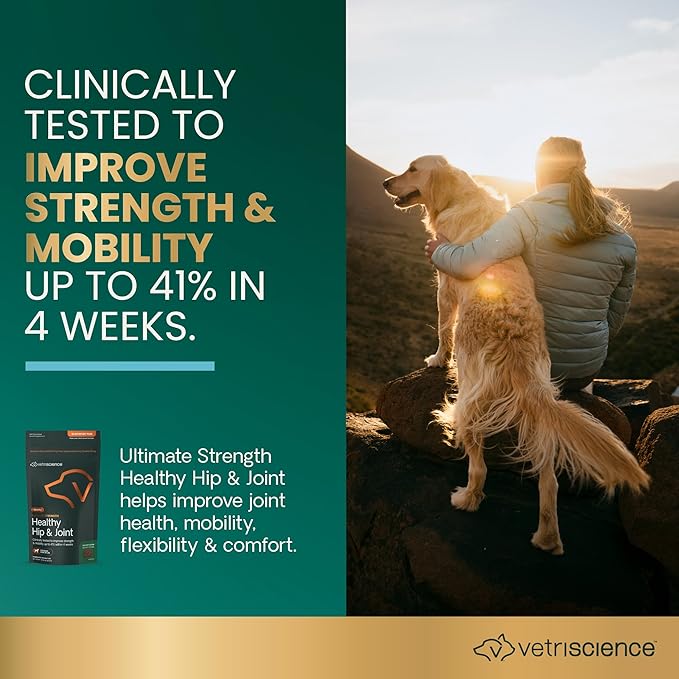 VetriScience GlycoFlex Ultimate Strength Healthy Hip & Joint Glucosamine Supplements for Dogs, with MSM, Chondroitin & Green-Lipped Mussel, Soft Chews, Bacon, 120 Count - New Look-Mewly Pet