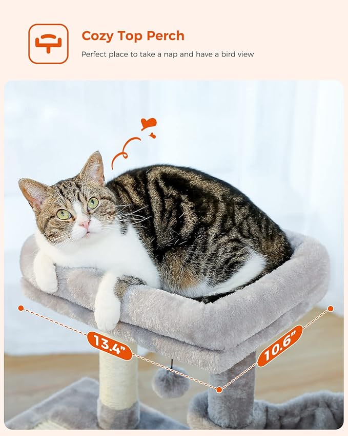 PEQULTI Small Cat Tree, [28.5''] Cat Tower for Indoor Cats, 2 Styles Activity Tree with Cat Scratching Posts, Big Hammock and Removable Top Perch Grey-Mewly Pet
