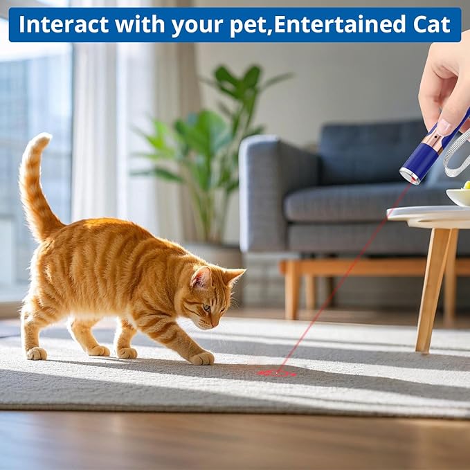 TBTeek Cat Toys for Indoor Cats, 2 Pieces, Rechargeable, 7 Adjustable Patterns, Interactive Kitten Pet Dog Red Dot Chase Light Toy for Cats Fun Playing Exercise（Blue）-Mewly Pet