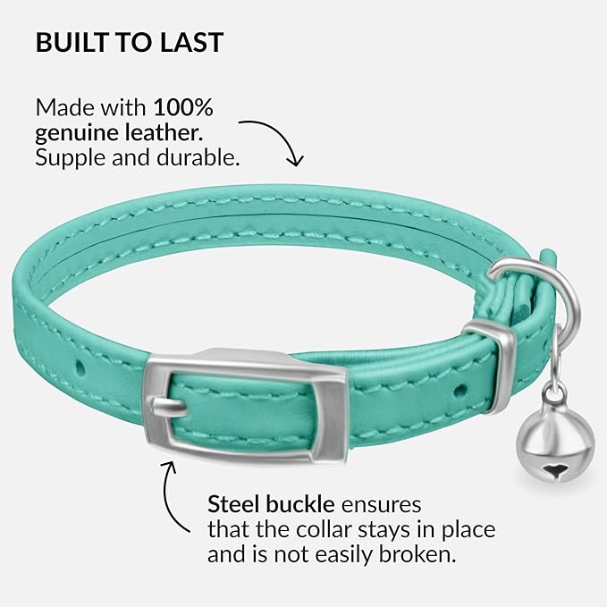 CollarDirect Leather Cat Collar with Bell - Kitten Collar, Small and Big Cat Collar for Boy Cats, Girl Cats with Safety Elastic Strap (Neck Fit 8"-11", Mint Green)-Mewly Pet