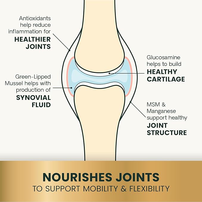 VetriScience Ultimate Strength Healthy Hip & Joint Chews, GlycoFlex Glucosamine, Chondroitin and Green-Lipped Mussel Joint Support Supplement for Dogs, Soothe Joint Discomfort, Duck, 120 Count-Mewly Pet