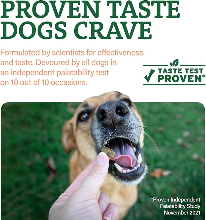 Doggie Dailies Senior Essentials Multivitamin for Dogs Soft Chews | Advanced Dog Multivitamin | Nutritional Support for Joints, Skin & Coat, Digestion, and the Immune System | Bacon Flavor | 120 Count-Mewly Pet