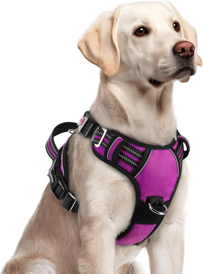 rabbitgoo Dog Harness for Large Dogs, No Pull Pet Vest with 3 Buckles, Adjustable Soft Padded Pet Harness with Easy Control Handle and Reflective Strips, Purple, L-Mewly Pet