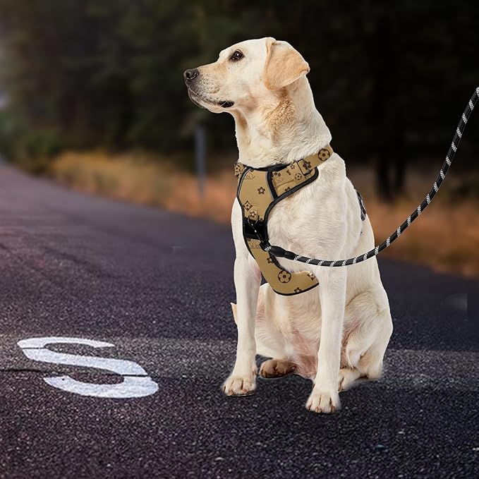 IVY&LANE No Pull Dog Harness with Leash Set, Reflective No Choke Pet Vest,Adjustable Oxford Dog Vest Harness with Easy Control Handle for Large Dogs (Light Brown,XL)-Mewly Pet