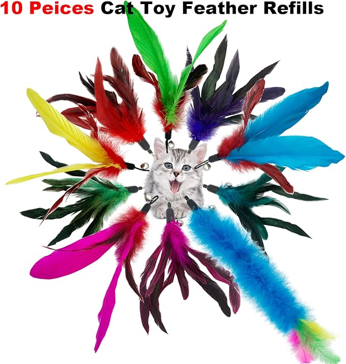 Cat Feather Toys Refills, 10 Pieces Interaction Cat Wand Replacement Feathers Toy for Indoor Cats-Mewly Pet