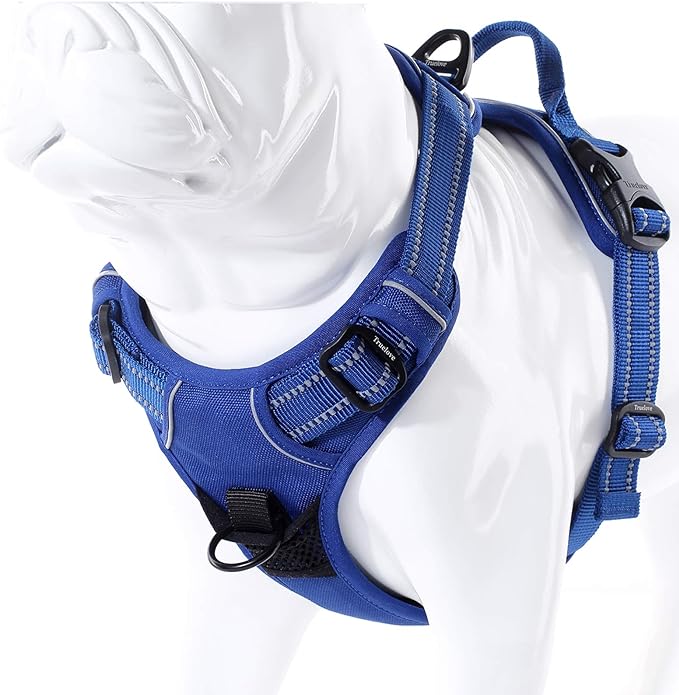 Truelove No Pull Dog Harness with Easy Control Handle and 2 Leash Attachments,Reflective Adjustable Pet Vest-Mewly Pet
