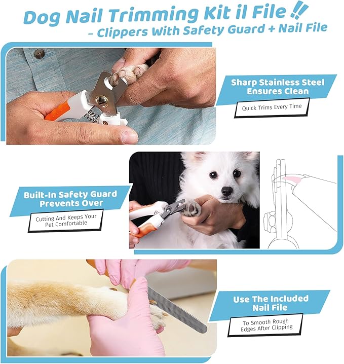 Pet Steam Brush for Dog & Cat – 3-in-1 Spray Hair Removal Comb for Shedding & Grooming Shedding Glove, Flea Comb, Couch Carpet Hair Removal Tool, Nail Toenail Clippers Nail File Shampoo-8PCS-Mewly Pet