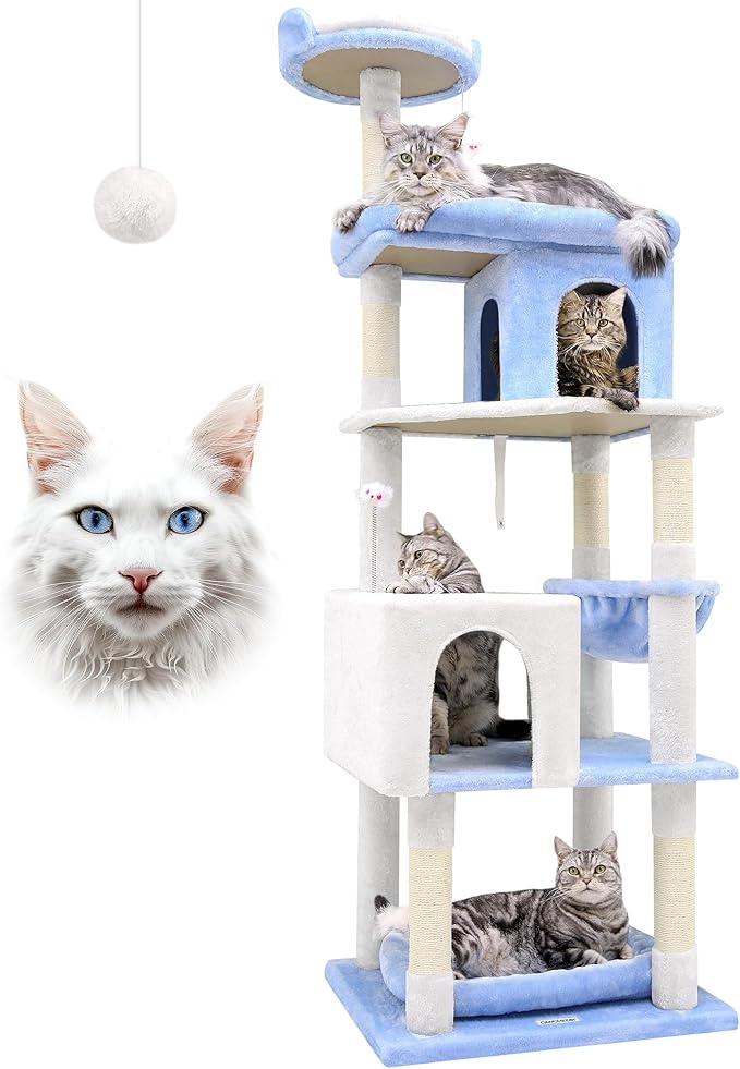 Globlazer Heavy Duty Cat Trees for Large Cats, Sturdy 72in Maine Coon Cat Tree for Large Cats 20 lbs+ Heavy Duty Cat Tower for Adult Biggest Cat with 6 Scratching Posts, Hammock, S72, Ocean Blue-Mewly Pet