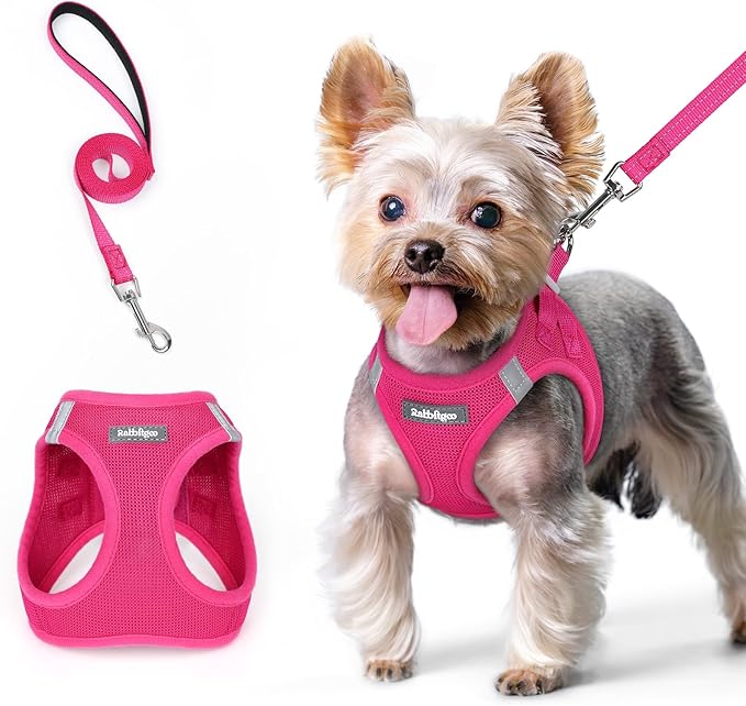 rabbitgoo Dog Harness Small Sized and Leash Set, Step in Soft Light Puppy Vest, Breathable Mesh Pet Harness, Reflective for Safe Easy Walking, Rose Red XS-Mewly Pet
