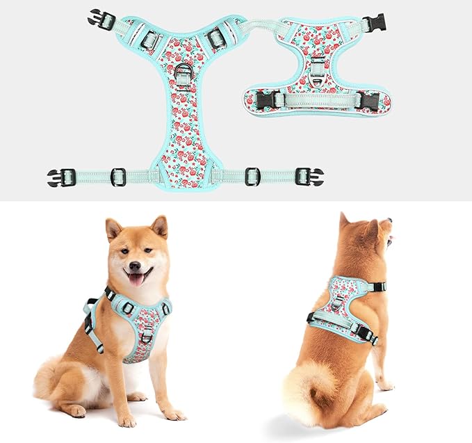 Timos Dog Harness,NO Need Go Over Dogs Head 3 Snap Buckles Pet Harness with 2 Leash Clips,Adjustable Soft Padded No-Pull,Reflective No-ChokeOxford Vest for Small Medium Large Dogs,X-Large(Packof1)-Mewly Pet