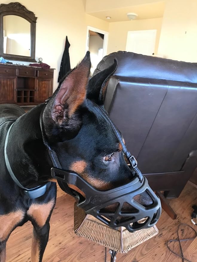 Mayerzon Dog Muzzle, Breathable Basket Muzzles for Small, Medium, Large and X-Large Aggressive Dogs Beagle German Shepherd Doberman, Cage Mouth Guard Stop Biting Chewing for Grooming Training-Mewly Pet