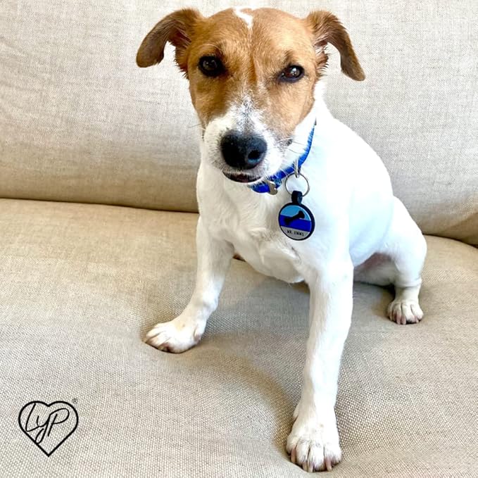 LYP Original Soundless Pet ID Tags | Custom Dog Tags Personalized for Pets | Durable Silicone Deep Engraved Dog Tag | No More Jingling | Blue Bone-Mewly Pet