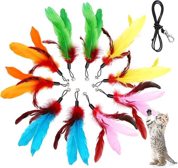 11PCS Cat Feather Toys Refills, 10PCS Feathers and 1PC String, Interactive Cat Wand Toy Replacement for Bored Indoor Adult Cats & Kittens-Mewly Pet