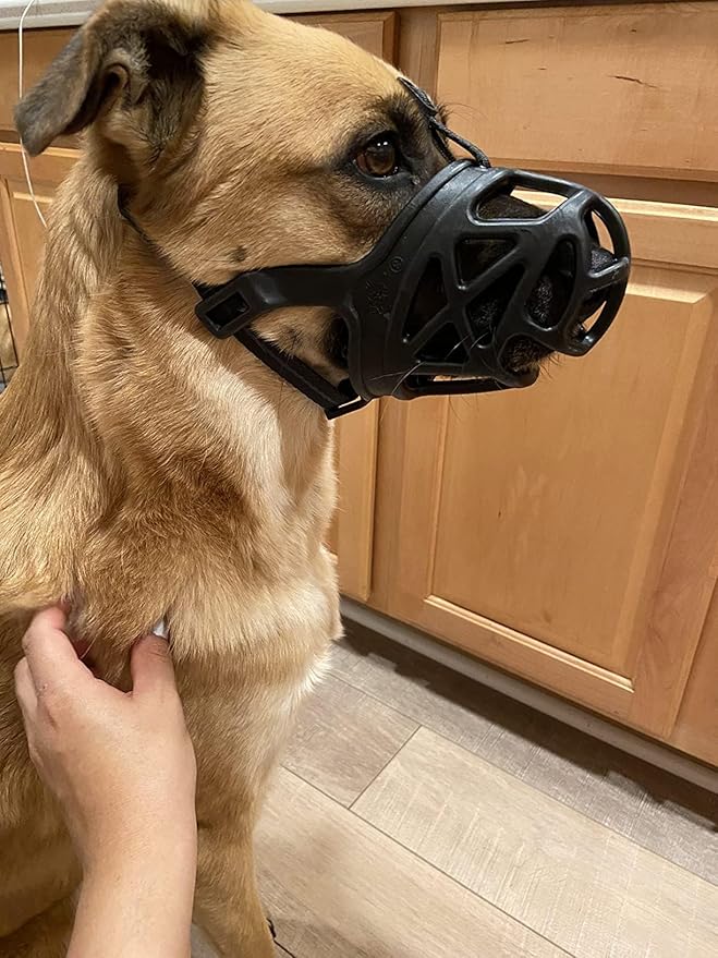 Mayerzon Dog Muzzle, Breathable Basket Muzzles for Small, Medium, Large and X-Large Aggressive Dogs Beagle German Shepherd Doberman, Cage Mouth Guard Stop Biting Chewing for Grooming Training-Mewly Pet
