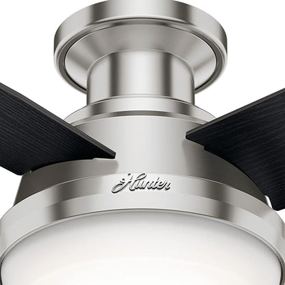 Hunter 44 inch Indoor Ceiling Fan with LED Light and Remote Control - Modern Ceiling Fan, Low Profile Mount, 4 Black Oak Blades, For Bedroom, Living Room, or Kitchen - Dempsey 59243, Brushed Nickel