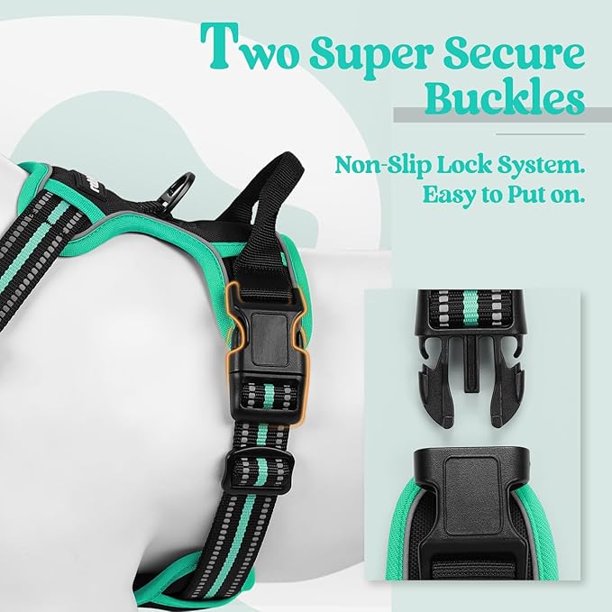 rabbitgoo Dog Harness No Pull with 2 Leash Clips, Adjustable Soft Padded, Reflective Oxford No Choke Pet Vest with Easy Control Handle for Small Dogs, Black & Turquoise, S-Mewly Pet