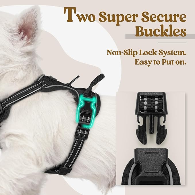 rabbitgoo Dog Harness No Pull with 2 Leash Clips, Adjustable Soft Padded, Reflective Oxford No Choke Pet Vest with Easy Control Handle for Puppy, Black, XS-Mewly Pet