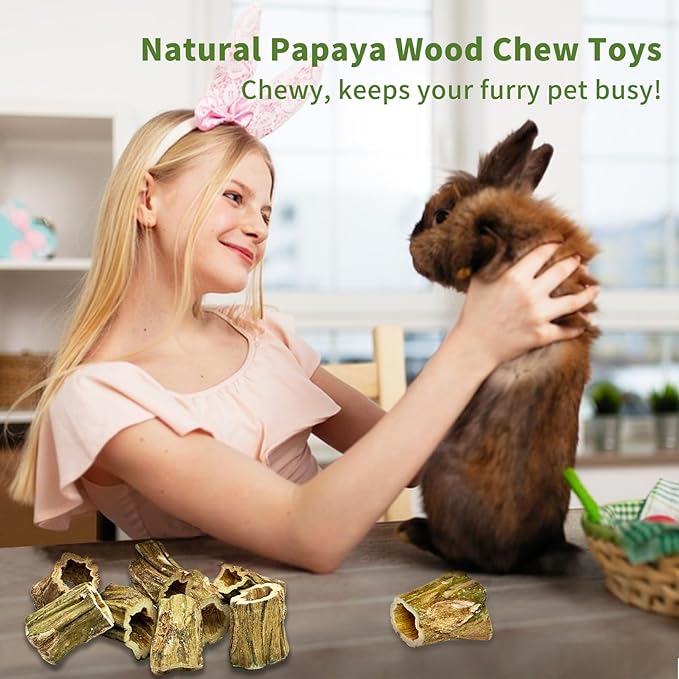 Fhiny Rabbit Chew Toys, 8 PCS 2" Natural Papaya Wood Chew Sticks Guinea Pig Treats for Dental Care Bunny Treats for Rabbits Small Pet Molar Snacks for Bunny Guinea Pig Chinchilla Hamster Gerbil-Mewly Pet
