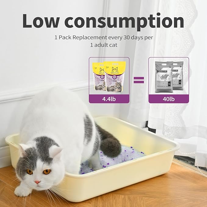 Cat Litter Crystals No Clumping Odor Control Kitty Litter Non-Clumping No scooping Low Dust, Low Tracking, Dehydrates Waste Lavender - 25.8 lbs (6 x 4.3 lb Packs)-Mewly Pet