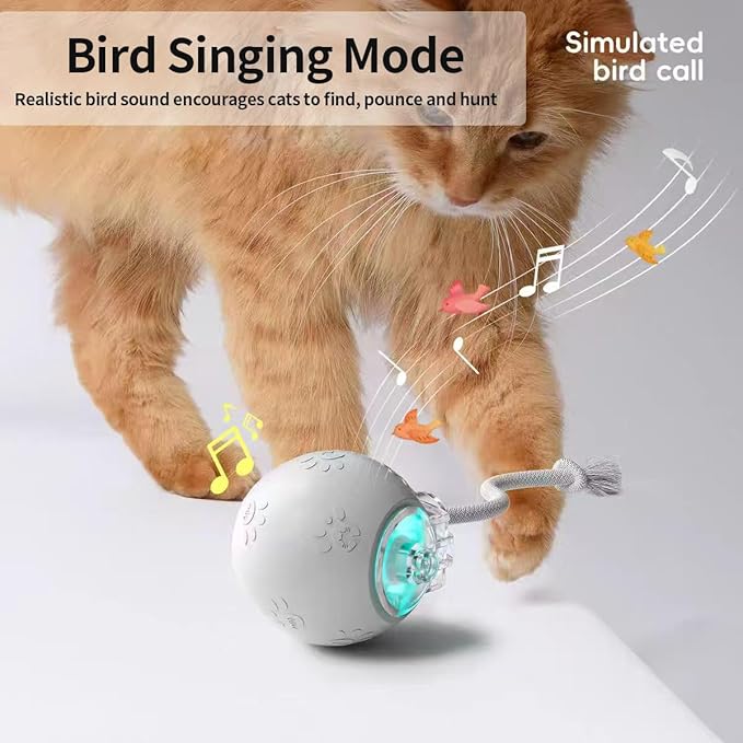 Interactive Cat Toys, Automatic Moving Cat Toy for Bored Indoor Adult Cats, Fast Rolling, Chirping & Motion-Activated Cat Toys, Fun Gift for Cats with Speedy Tail 2.0, USB Rechargeable(Gray)-Mewly Pet