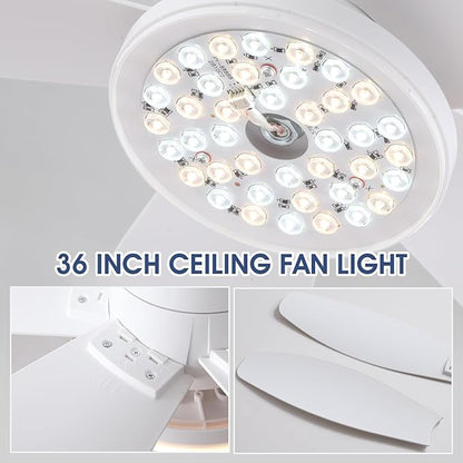 Flush Mount RGB Ceiling Fans with Lights-36 Low Profile Ceiling Fan with Light and Remote/APP Control,DC Reversible,LED Dimmable Ceiling Fans for Bedroom,Indoor/Outdoor Patio Use(White)