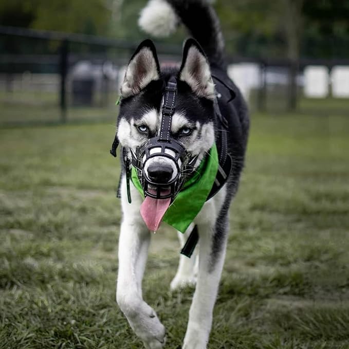 BARKLESS Dog Muzzle, Soft Basket Silicone Muzzle for Dogs to Prevent Biting and Chewing, Breathable Cage Mouth Cover for Training, Allows Drinking and Panting, Used with Collar-Mewly Pet