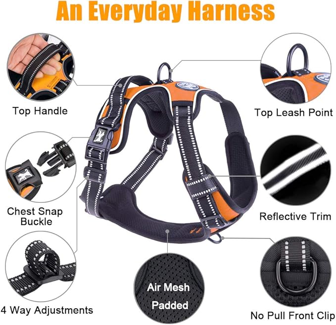 PoyPet No Pull Dog Harness, Reflective Comfortable Vest Harness with Front & Back 2 Leash Attachments and Easy Control Handle Adjustable Soft Padded Pet Vest for Small to Large Dogs (Orange,S)-Mewly Pet