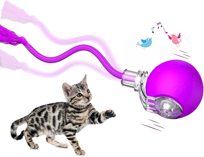 Interactive Cat Toys, Automatic Moving Cat Toys for Bored Indoor Adult Cats, Fast Rolling, Chirping & Motion-Activated Kitty Toys, Fun Gift for Cats with Speedy Tail 2.0, USB Rechargeable, Purple-Mewly Pet