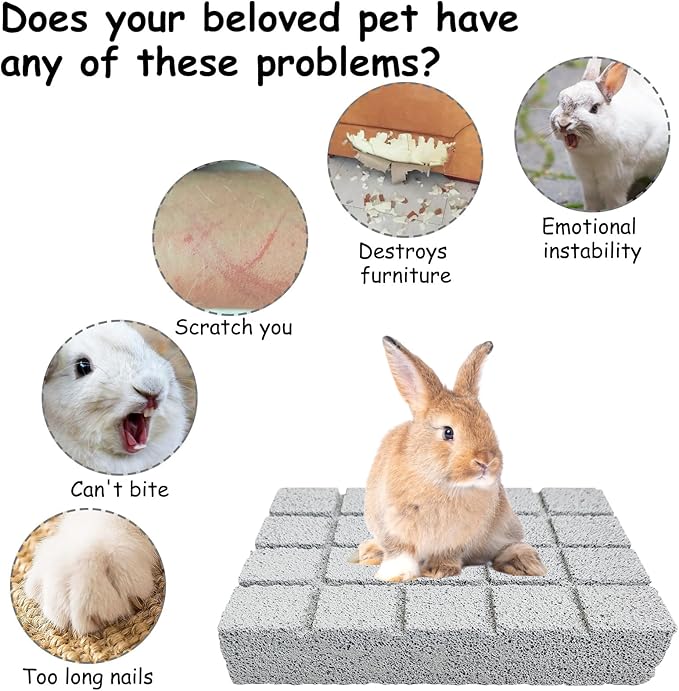 Hamiledyi 10PCS Rabbit Scratching Pad Bunny Lava Grinding Claw Board Small Animal Foot Pad Hamster Chew Toys for Gerbil Chinchilla Hedgehog Guinea Pig Cage Accessories-Mewly Pet