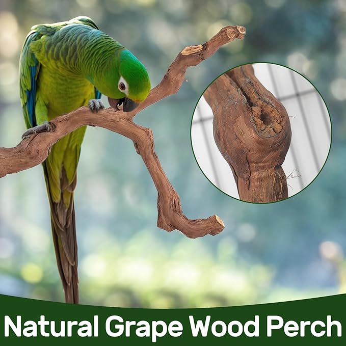 6-Piece Premium Bird Perch Stand with Natural Grape Wood Branch, Paw Grinding Fork, Chewing Stick, Cage Accessories for Parakeets, Budgies, Cockatiels, Finches, Lovebirds-Mewly Pet