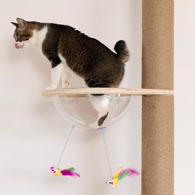 Floor to Ceiling Cat Tree Height (50-120 in) Adjustable Cat Tower 5 Tier Hemp Scratching Post High Cat Tree Sturdy Activity Tree Indoor Outdoor Cat Scratching Post Activity Center-Mewly Pet