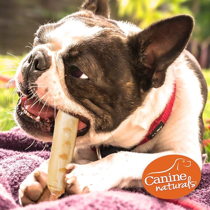 Canine Naturals Chicken Recipe Chew - Rawhide Free Dog Treats - Made from USA Raised Chicken - All-Natural and Easily Digestible - 5 Pack of 7 Inch Large Rolls for Dogs 50-75lb-Mewly Pet