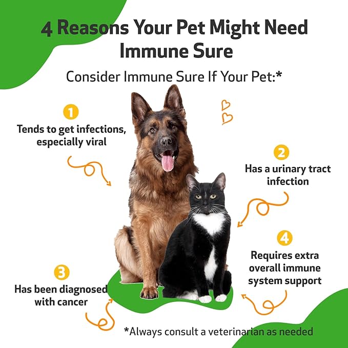 Pet Wellbeing Immune Sure for Dogs - Supports Normal Immune Defenses, Gut Flora Balance, Andrographis, Echinacea, Vitamin C, Zinc - Veterinarian-Formulated Herbal Supplement 4 oz (118 ml)-Mewly Pet