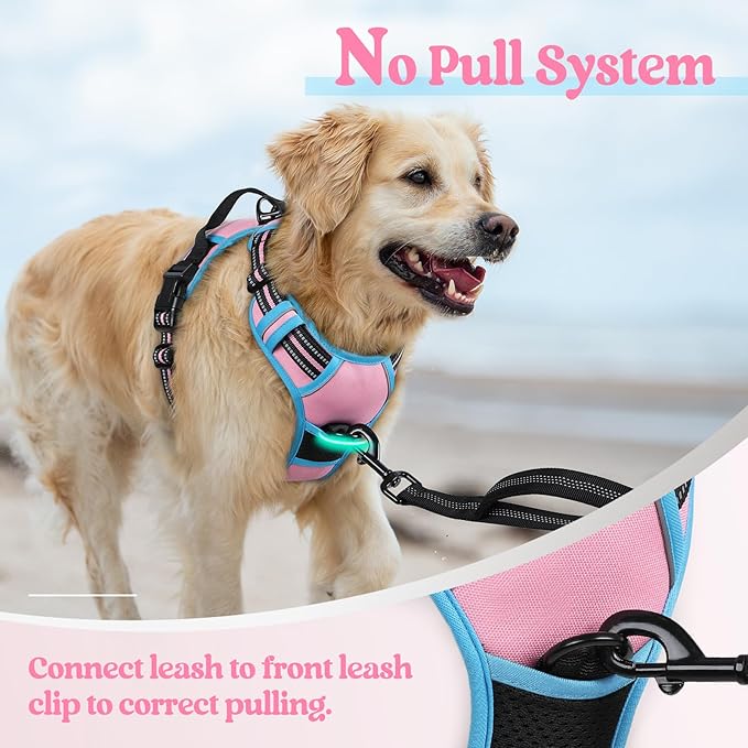 rabbitgoo Dog Harness No Pull with 2 Leash Clips, Adjustable Soft Padded, Reflective Oxford No Choke Pet Vest with Easy Control Handle for Medium Sized Dogs, Pink & Blue, M-Mewly Pet
