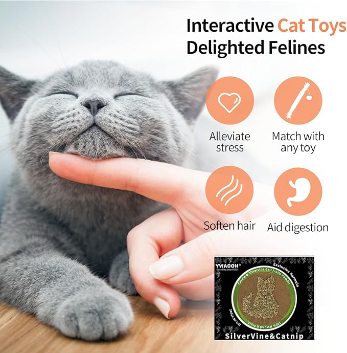 Catnip & Silvervine Powder – 30g Blend of Silvervine Gall Fruit & Catnip, Non-Addictive, for All Cat Ages, Multi-Use with Toys, Scratchers & Protecting Furniture, with 5 Little Pouches-Mewly Pet