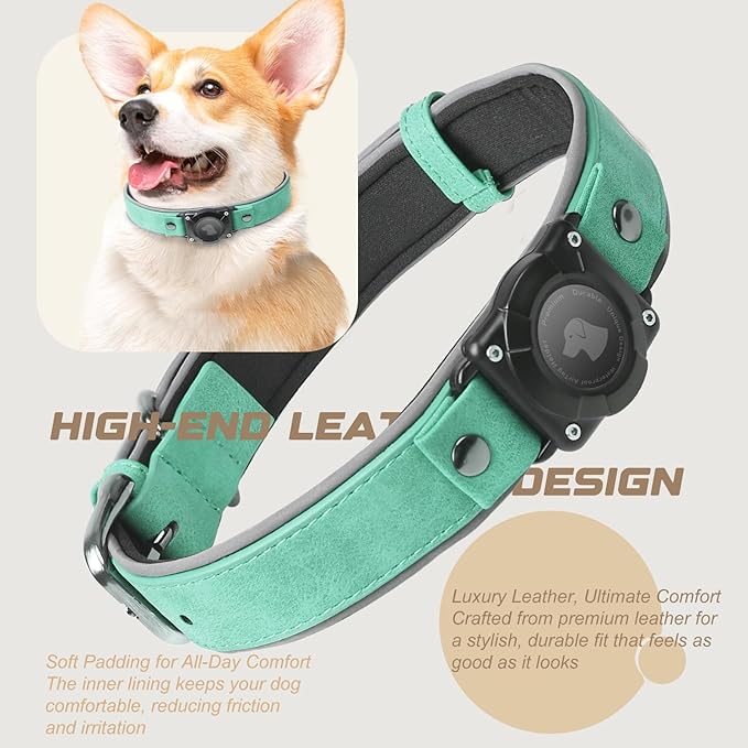 AirTag Dog Collar - Leather Dog Collar with Air Tag Holder | IPX8 Waterproof, Reflective, High - End, Adjustable Soft Padded | Dog GPS Tracker Collars Fit for Medium Large Dogs (Teal, M)-Mewly Pet